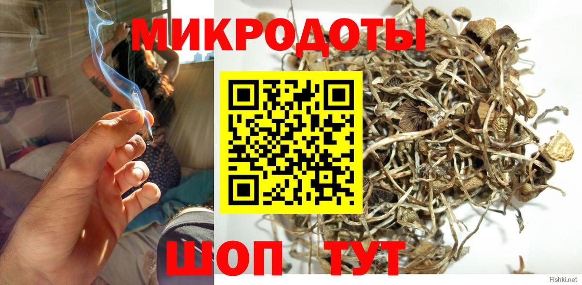 Тайшет  Галлюциногенные грибы Magic Shrooms  Галлюциногенные грибы Psilocybe  Вход с VPN 